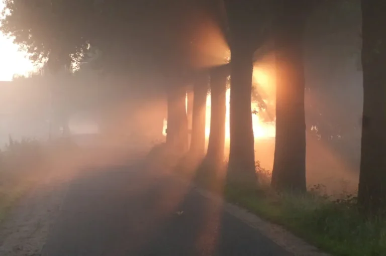 Mistig bospad dat de weg naar ontspanning en vertraging symboliseert