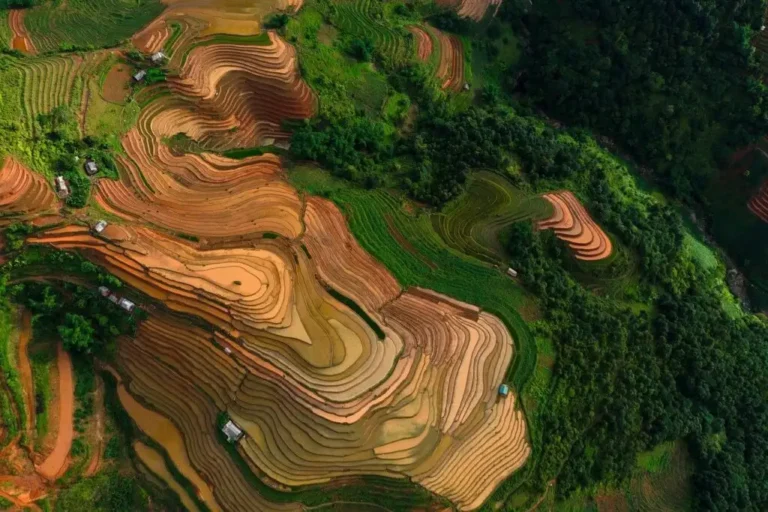 Groene rijstterrassen visualiseren aarding en de connectie met het aarde-element
