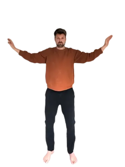 Vliegende ganzen - Qigong oefening