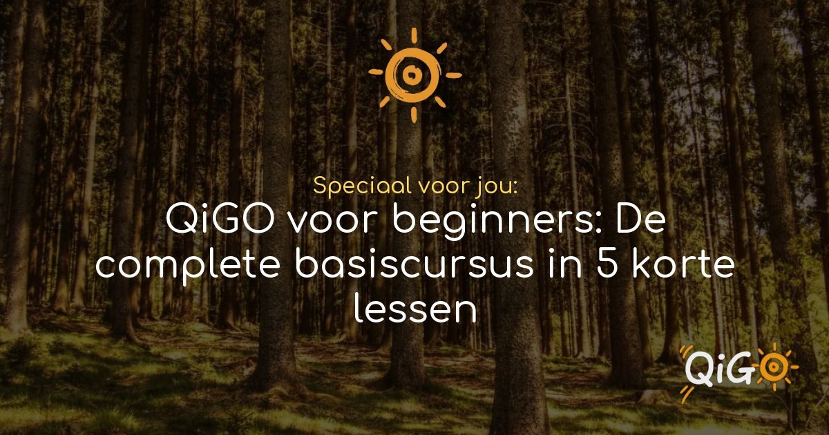 Go Lessen QiGO voor beginners: De complete basiscursus in 5 korte lessen - QiGO